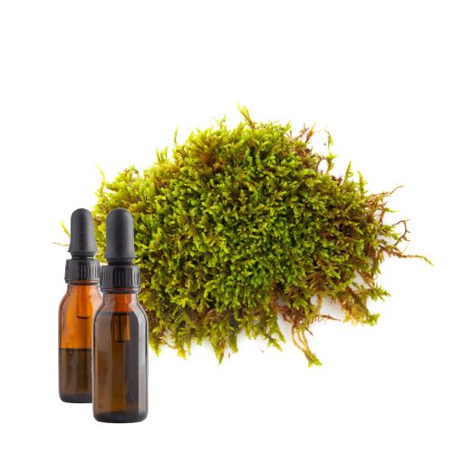 Irish Moss Tincture