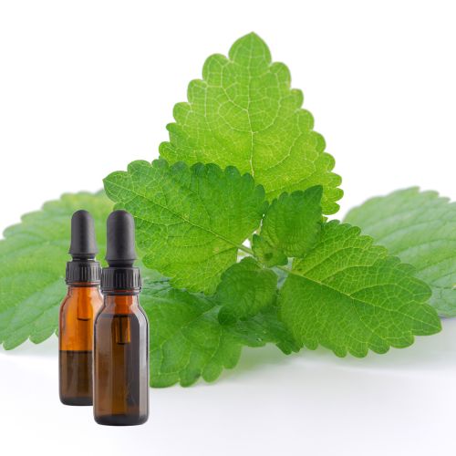 Lemon Balm Tincture 1 oz