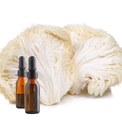 Lion&#39;s Mane Tincture