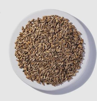 Milk Thistle Seed Whole