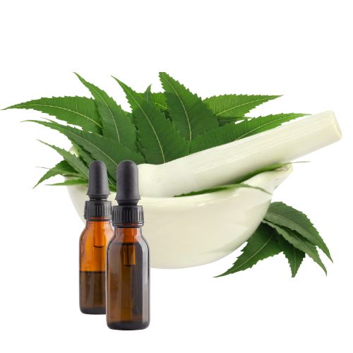 Neem Seed Oil 100ML