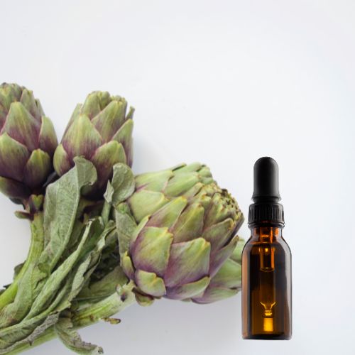Artichoke Leaf Tincture (30 ML)