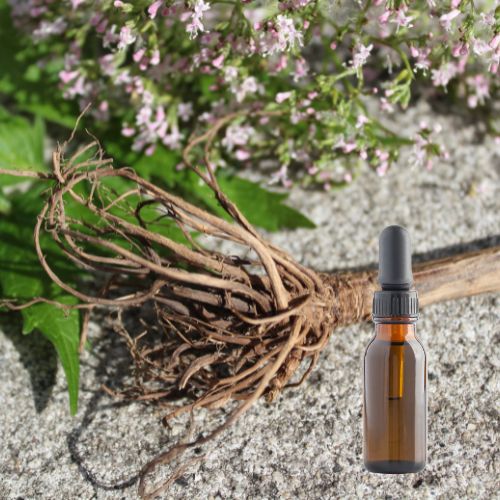 Valerian Tincture (1 oz)