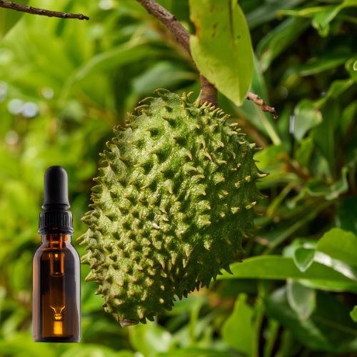 Graviola Leaf Tincture (30 ML)