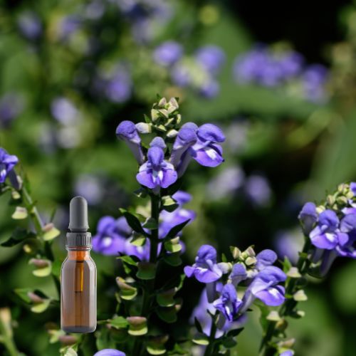 Skullcap Tincture