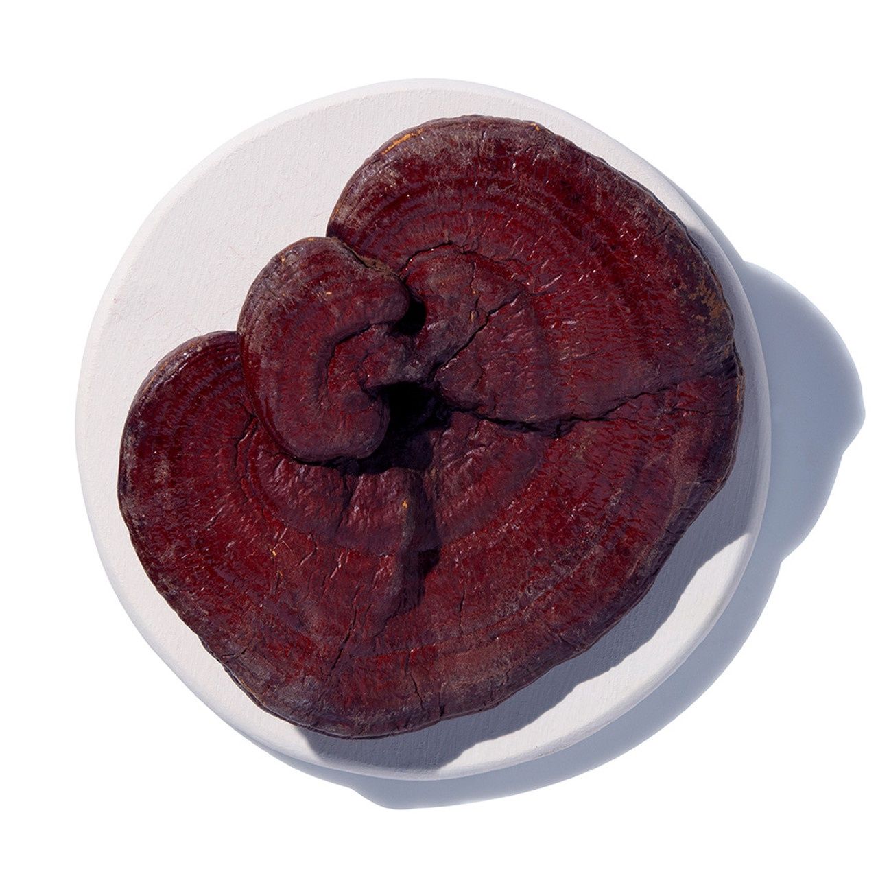 Red Reishi Whole
