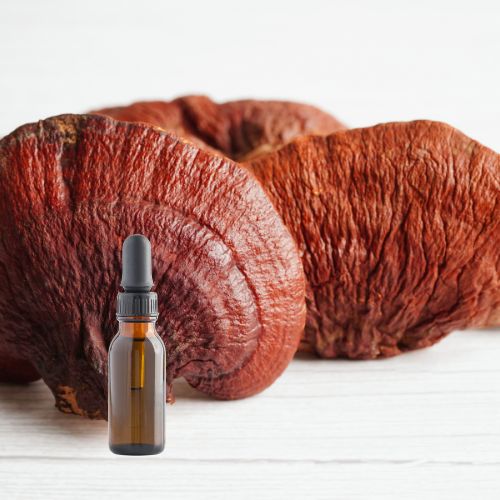Reishi Mushroom Tincture