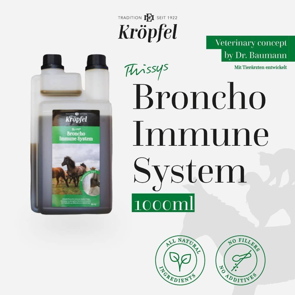 Original KRÖPFEL Broncho Immune System, 1000ml