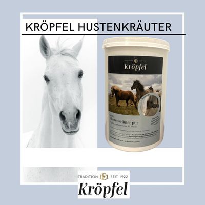 Original KRÖPFEL Hustenkräuter, 1000g
