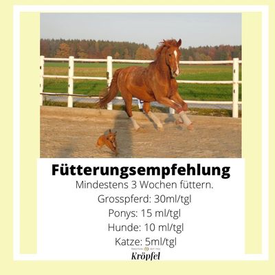 Original KRÖPFEL Teufelskralle Liquid, 1000ml