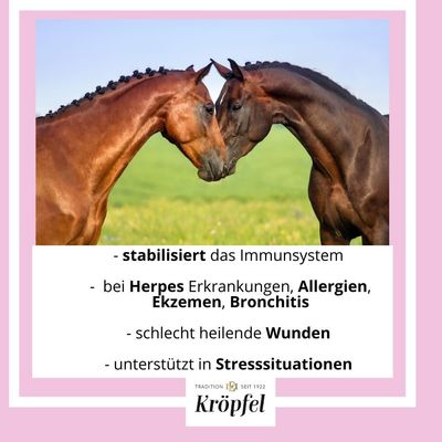 Original KRÖPFEL Immun & Fit, 1000ml