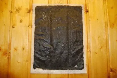 Original LEOPOLDSKRONER Salzburger Frischmoorpackung 280mm x 380mm