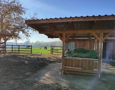 HORSEFEED BOX Futtersparnetz 2,5m x 2,5m - NEW Diamond Cord