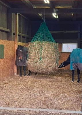 HORSEFEED BOX Rundballenheunetz Zylinder 1,6m - NEW Diamond Cord