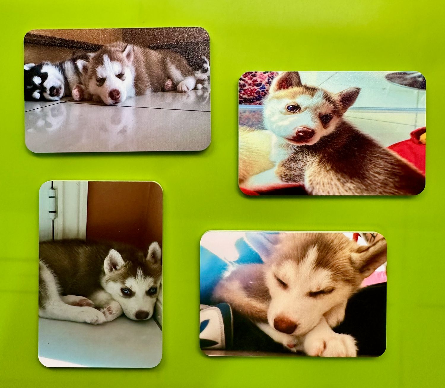 Personalised Fridge Magnets