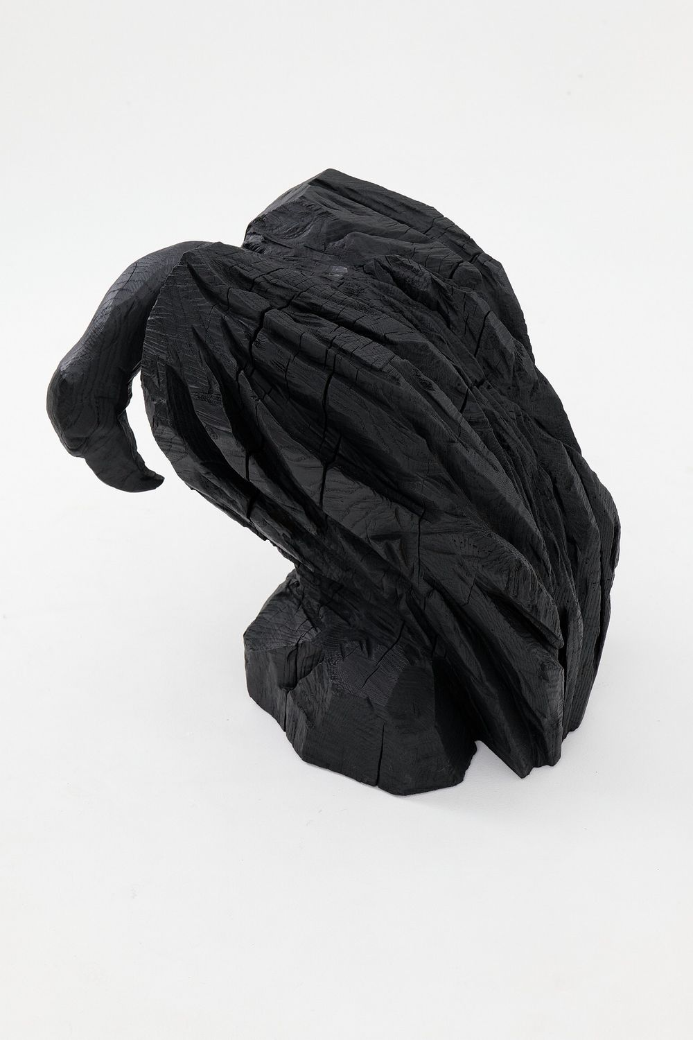 White-Headed Gull, Chainsaw Carved, Burnt Oak Abstract Sculpture, White-Headed Gull, Chainsaw Carved, Burnt Oak Abstract Sculpture,