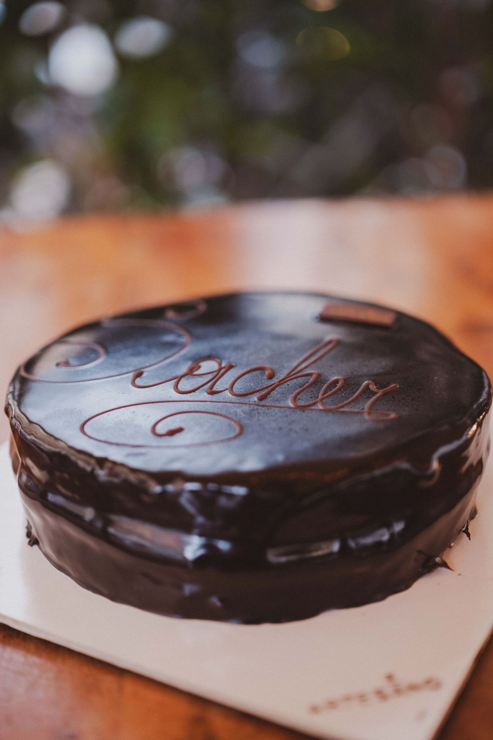SACHER