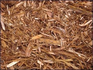 Cedar Mulch