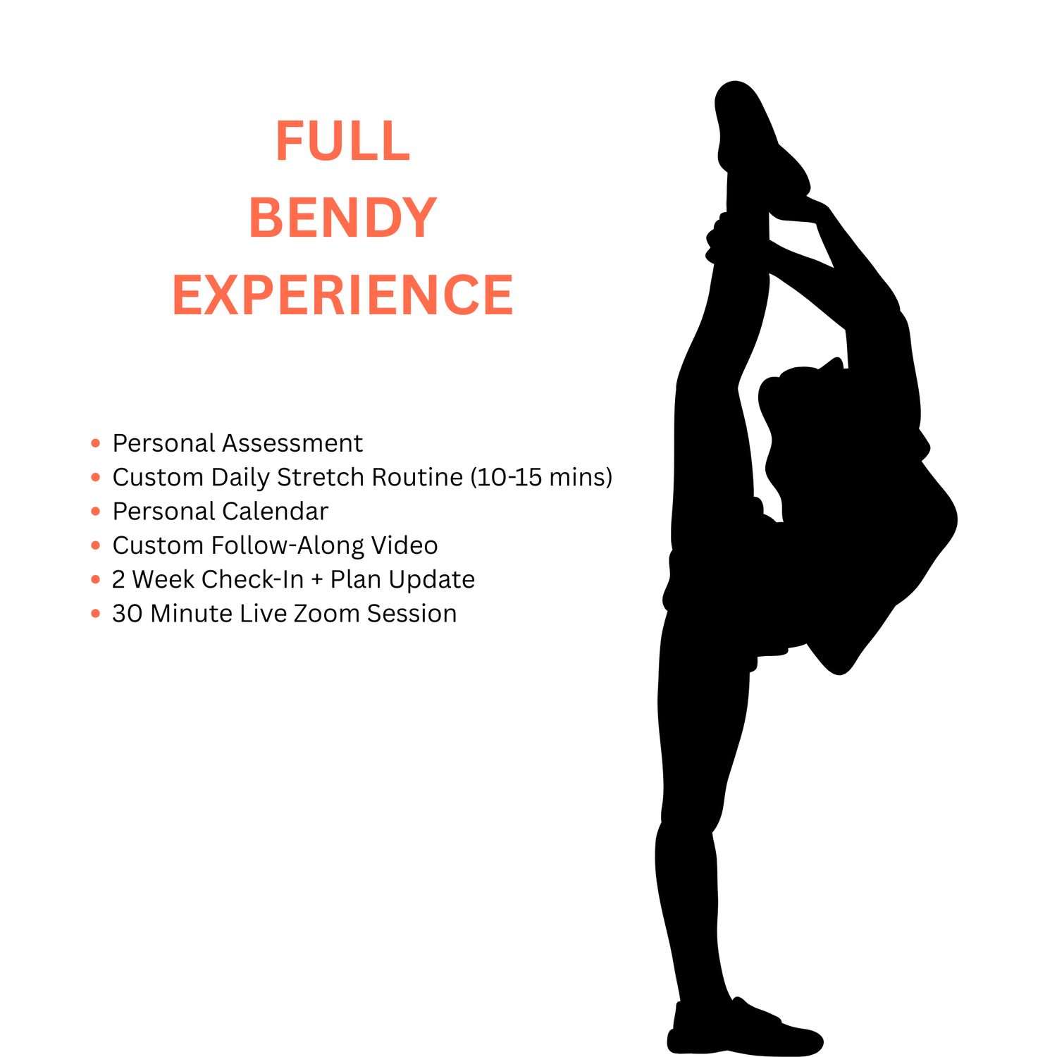 Full Bendy Experience