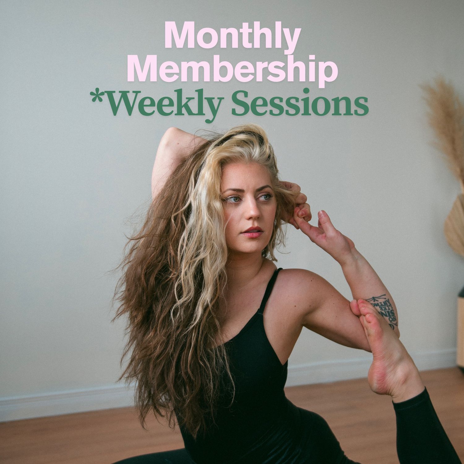 Monthly Membership - Weekly Sessions