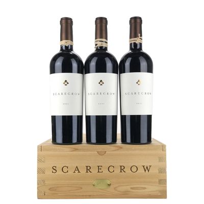 2016 Scarecrow Cabernet Sauvignon, Rutherford, Napa Valley - 750ml