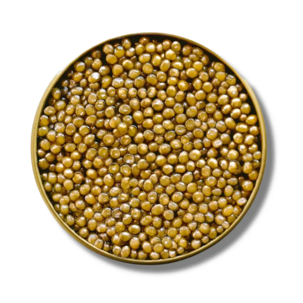 Altima Caviar -  Gold Reserve | Oscietra Caviar 30g