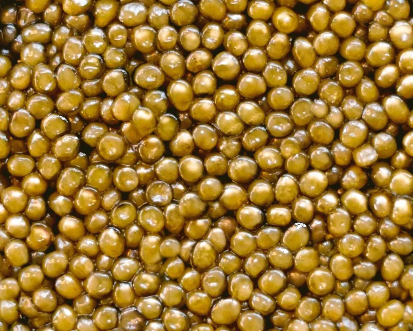 Israeli Amber Oscietra Caviar 100g (Acipenser gueldenstaedtii) - Altima Caviar Palm Beach