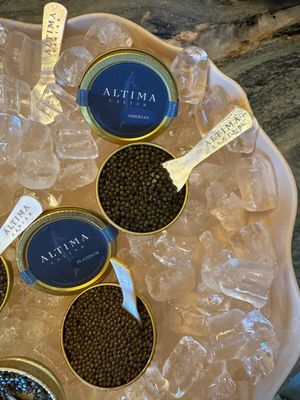 Siberian Sturgeon Caviar 50g (Acipenser baerii) - Georgia - Altima Caviar Palm Beach