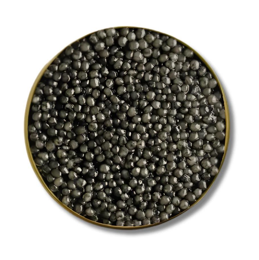 Platinum Oscietra Caviar 50g (Acipenser gueldenstaedtii) - Moldova - Altima Caviar Palm Beach