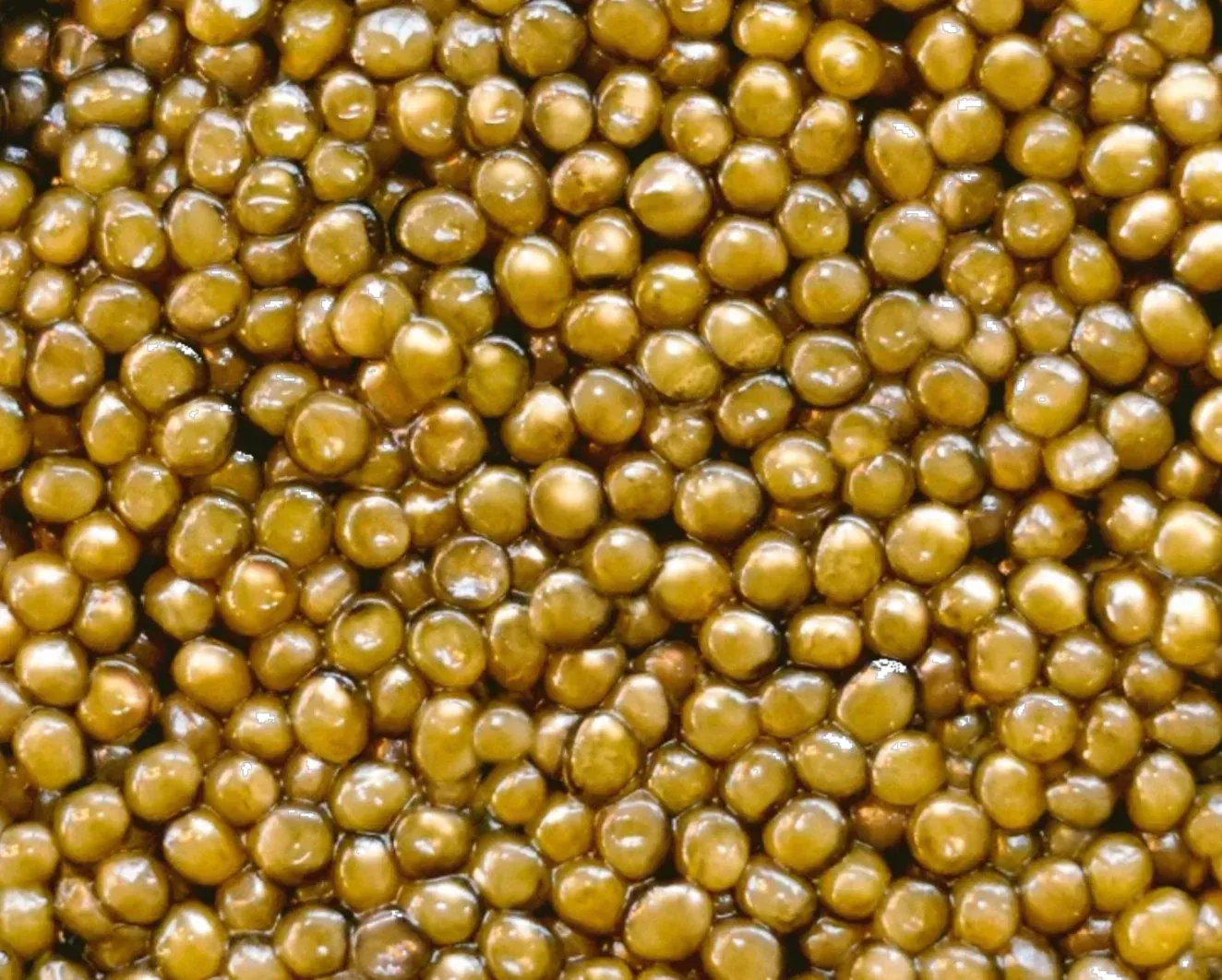 Israeli Amber Osetra Caviar 30g (Acipenser gueldenstaedtii) - Altima Caviar Palm Beach