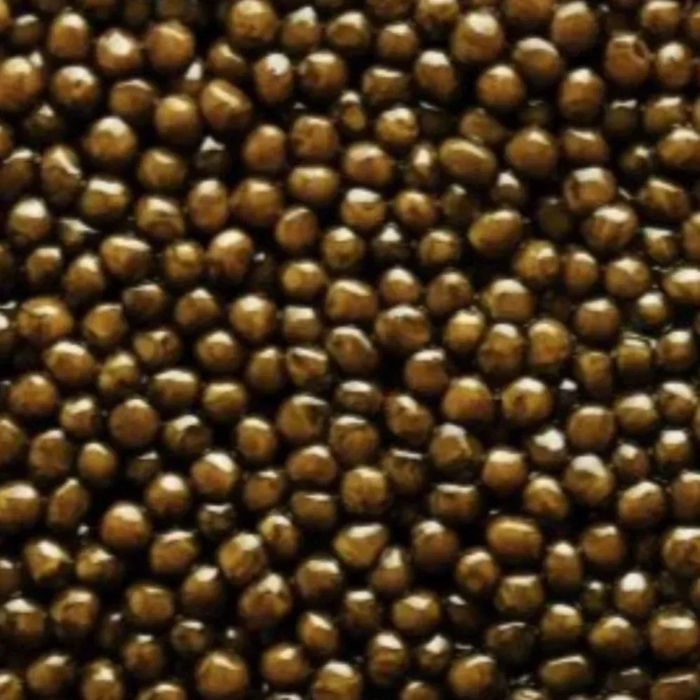 Kaluga Hybrid Caviar 30g (Huso dauricus x Acipenser schrenckii) - China - Altima Caviar Palm Beach