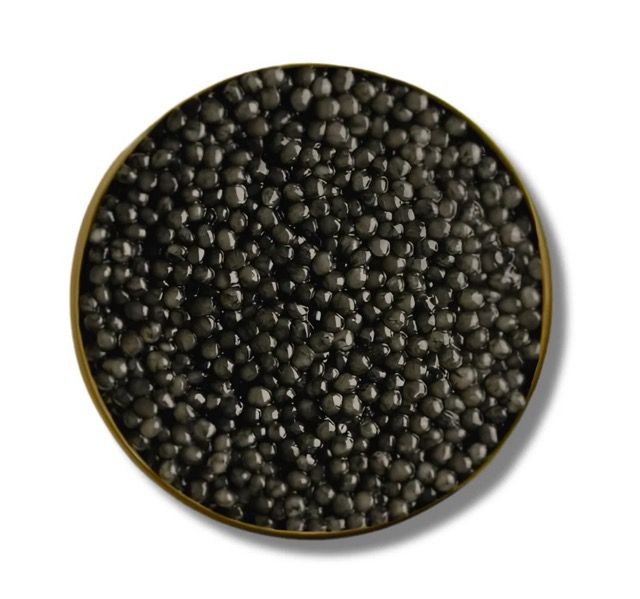 Oscietra de la Sombra Caviar 30g (Acipenser gueldenstaedtii) - Spain - Altima Caviar Palm Beach