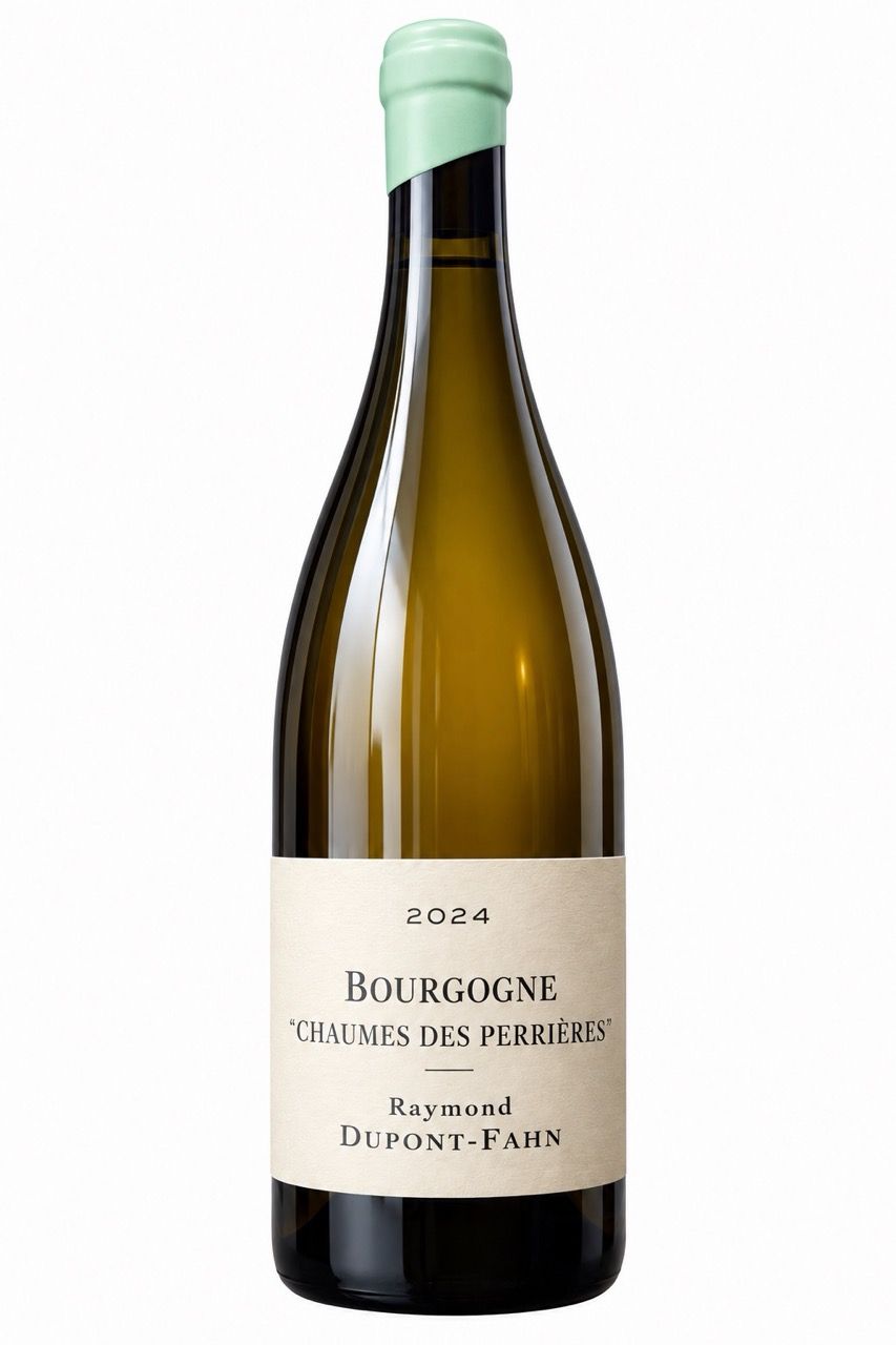 2024 Domaine Dupont-Fahn Bourgogne 'Chaumes des Perrieres', Burgundy - 750ML