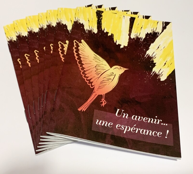 &quot; Un Avenir... une espérance &quot;      :    Pack de 100 exemplaires + envoi