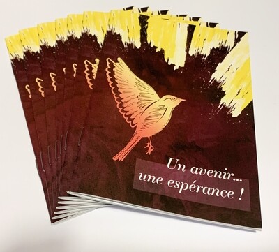 " Un Avenir... une espérance " : Pack de 19 exemplaires + envoi