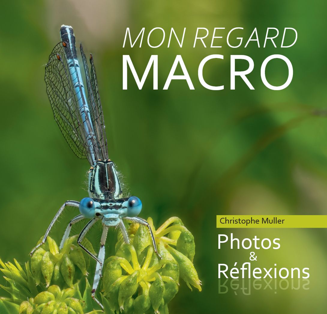 Mon regard macro - Photos &amp; Réflexions