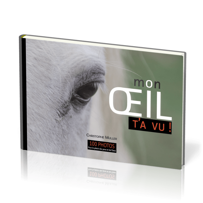 Mon œil t'a vu ! - 1re édition