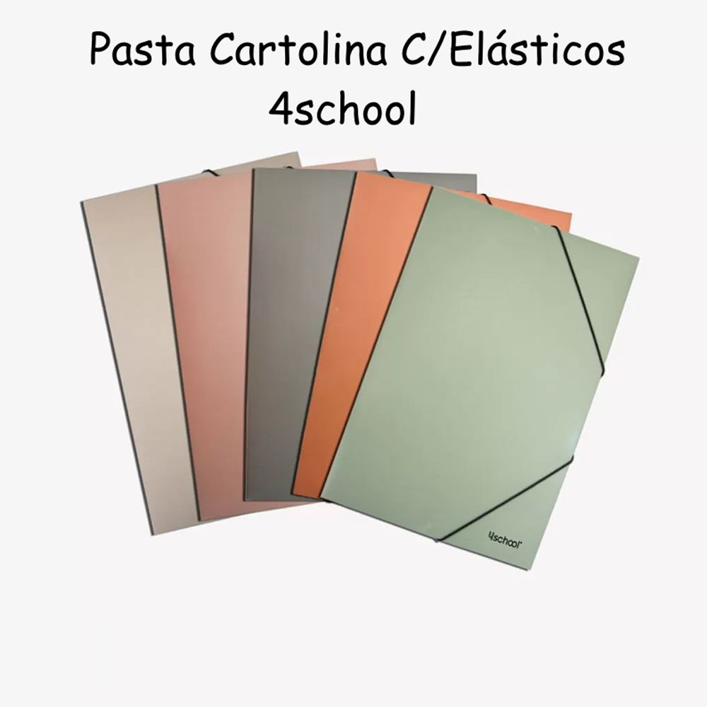 Pasta Elásticos 4School A3 350g