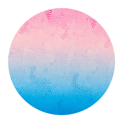 Coral Bloom