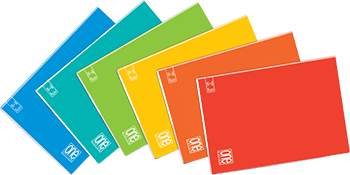 Caderno Blasetti A4 Capa Pp Agrafado