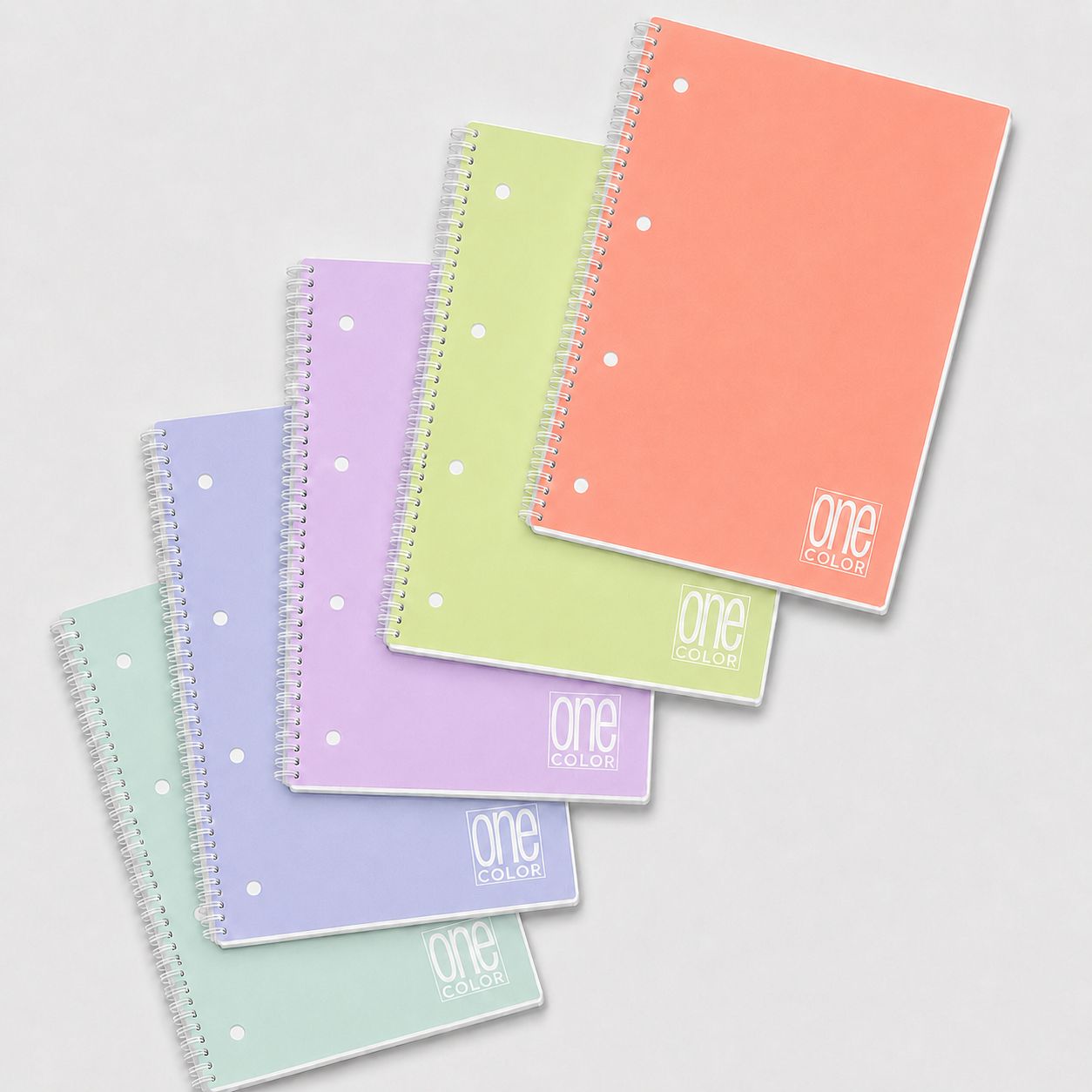 Caderno Blasetti A4 Capa Pp Argolas Pastel