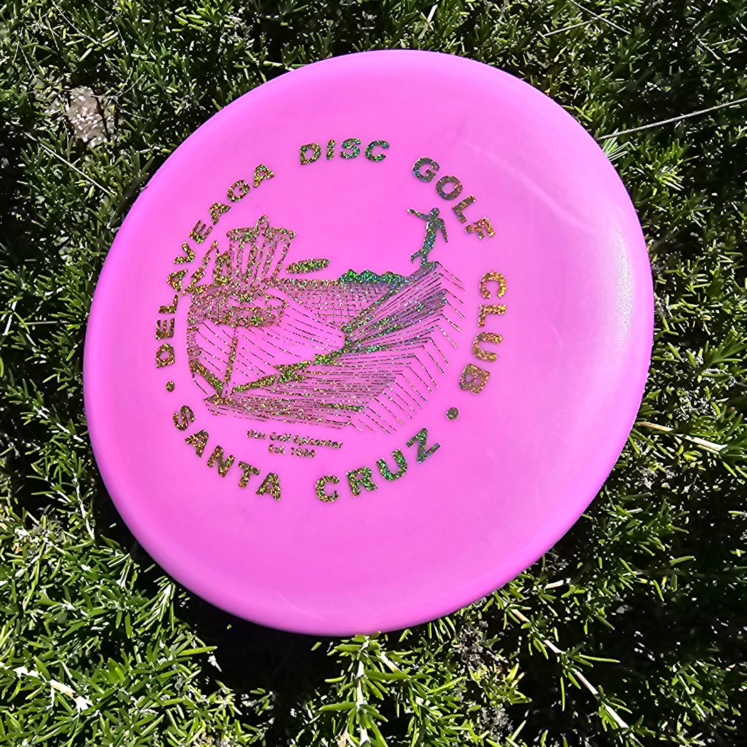 DDGC Innova DX Shark