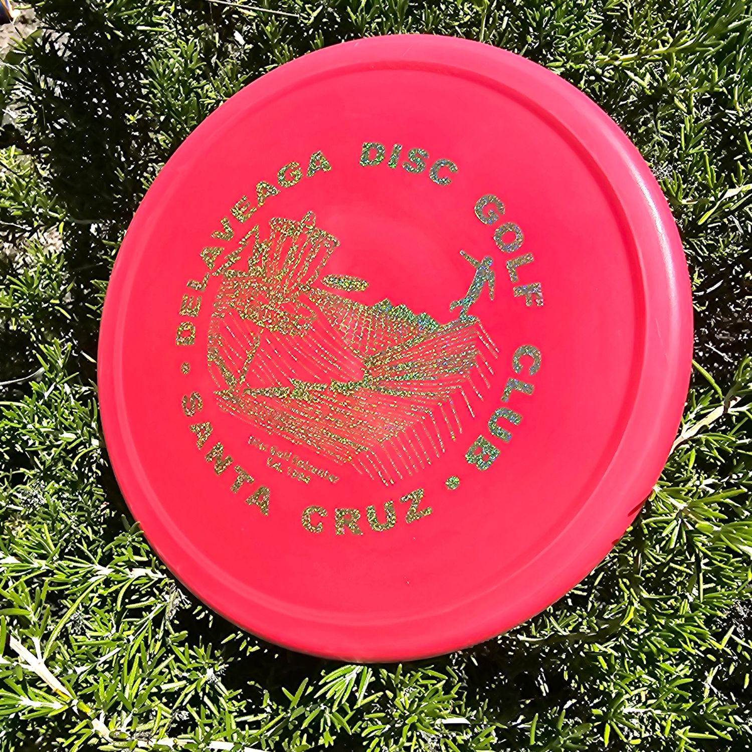DDGC Innova R-Pro Rhyno
