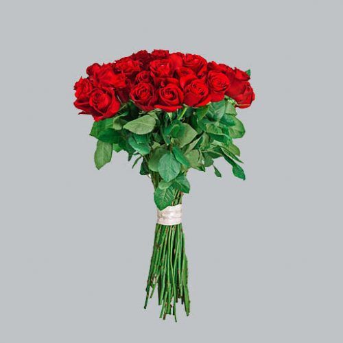 Rosen­strauß - langstielig
