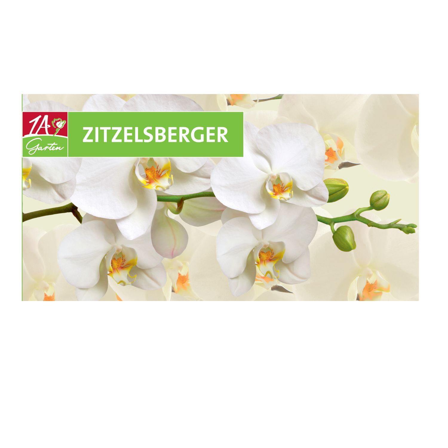 Gutschein – Motiv "Orchidee"
