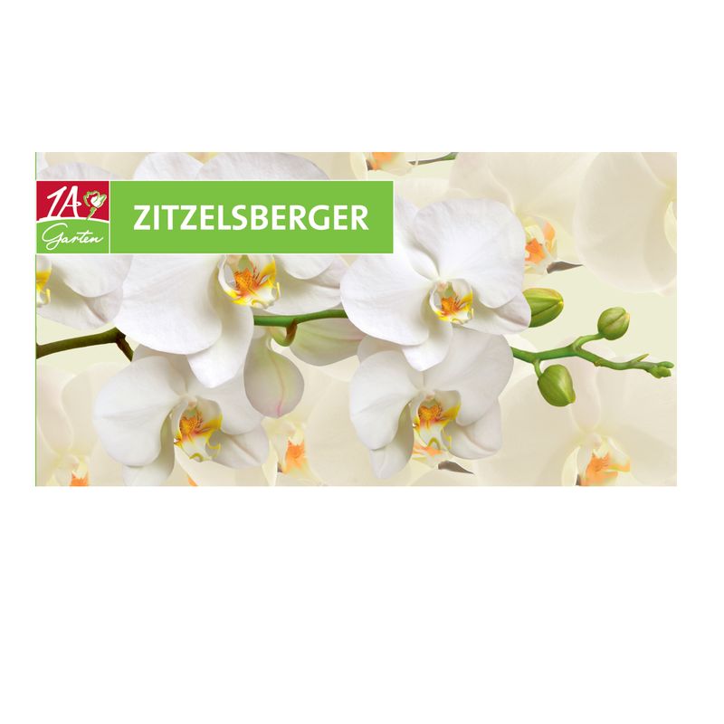 Gutschein – Motiv "Orchidee"