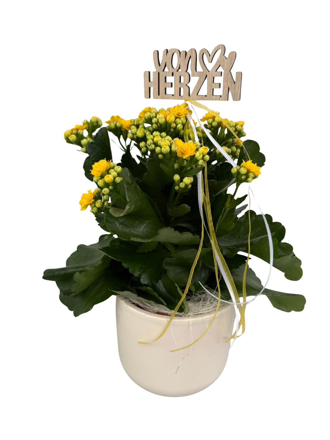 Kalanchoe mit Deko