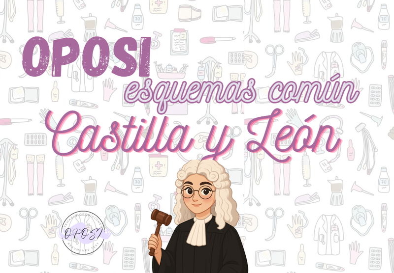Libro oposi esquemas Castilla León Impreso