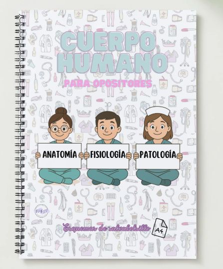 Cuerpo humano A4 PDF