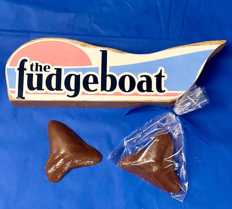 *Chocolate Megalodon Tooth